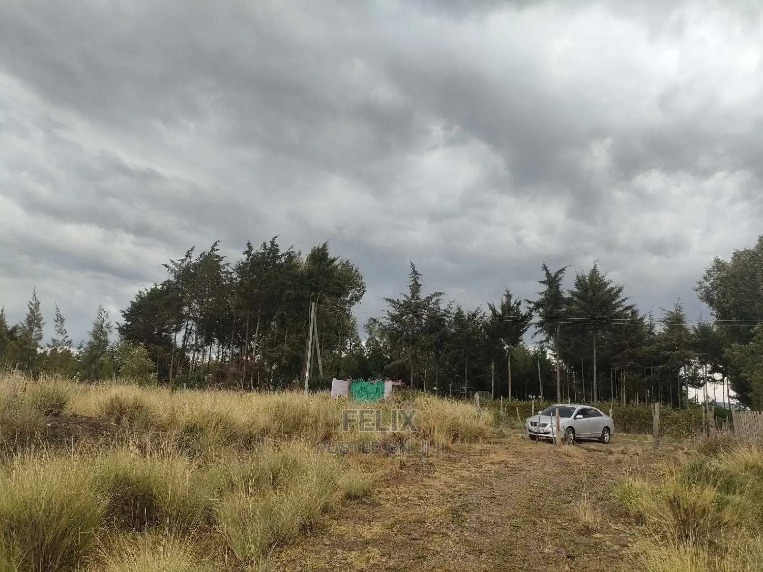 10 Acres Narumoru/ Blueline Rongai