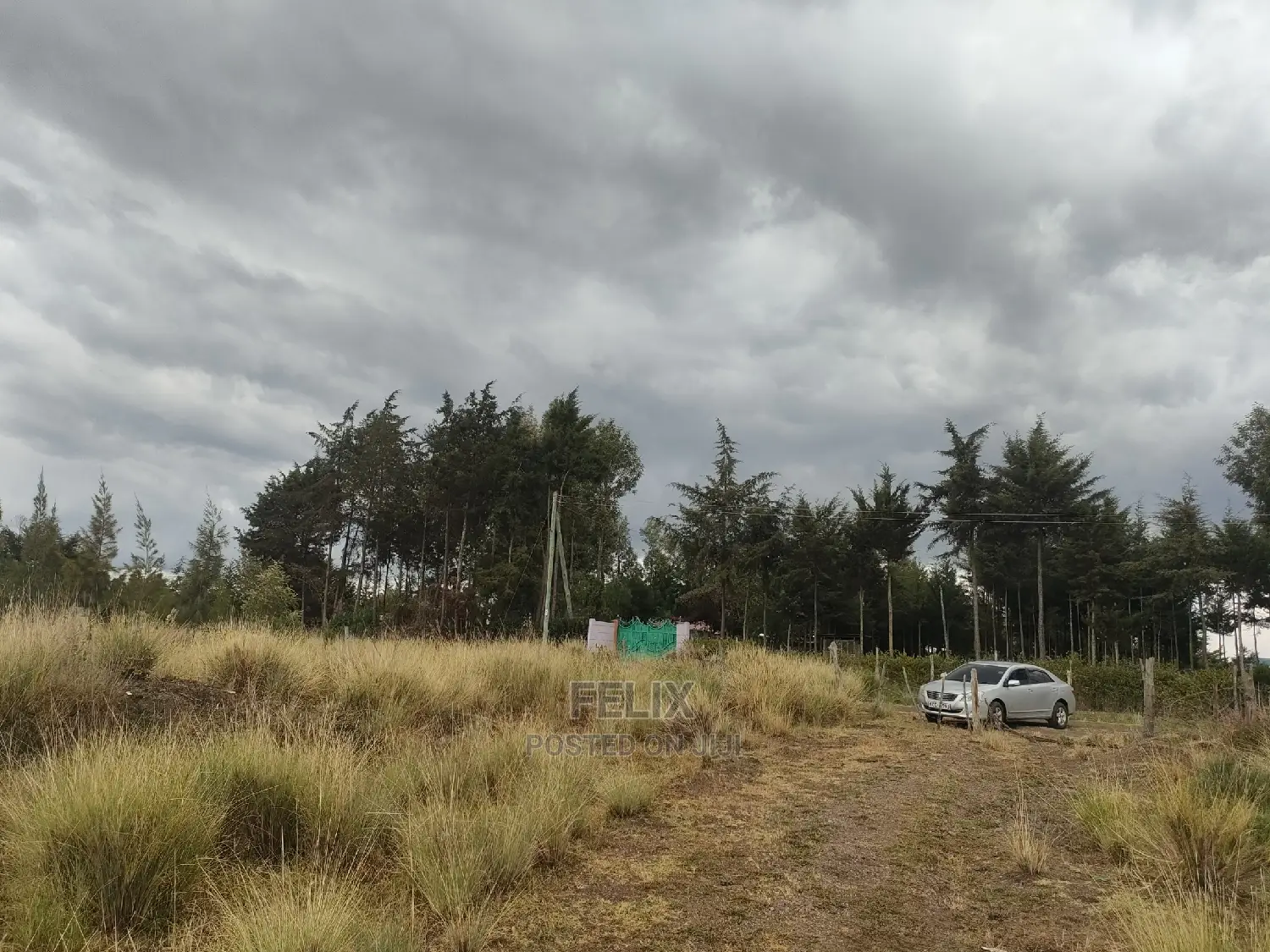 10 Acres Narumoru/ Blueline Rongai