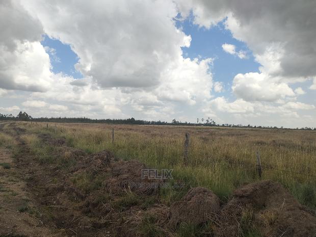 32 Acres Narumoru/ Blueline - main view