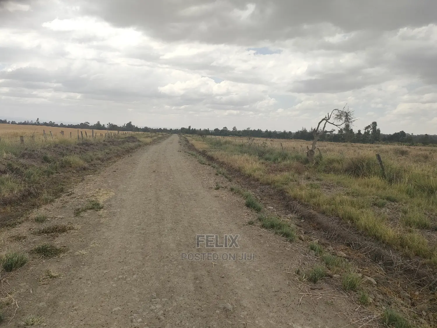 32 Acres Narumoru/ Blueline