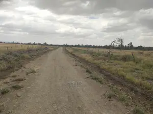32 Acres Narumoru/ Blueline