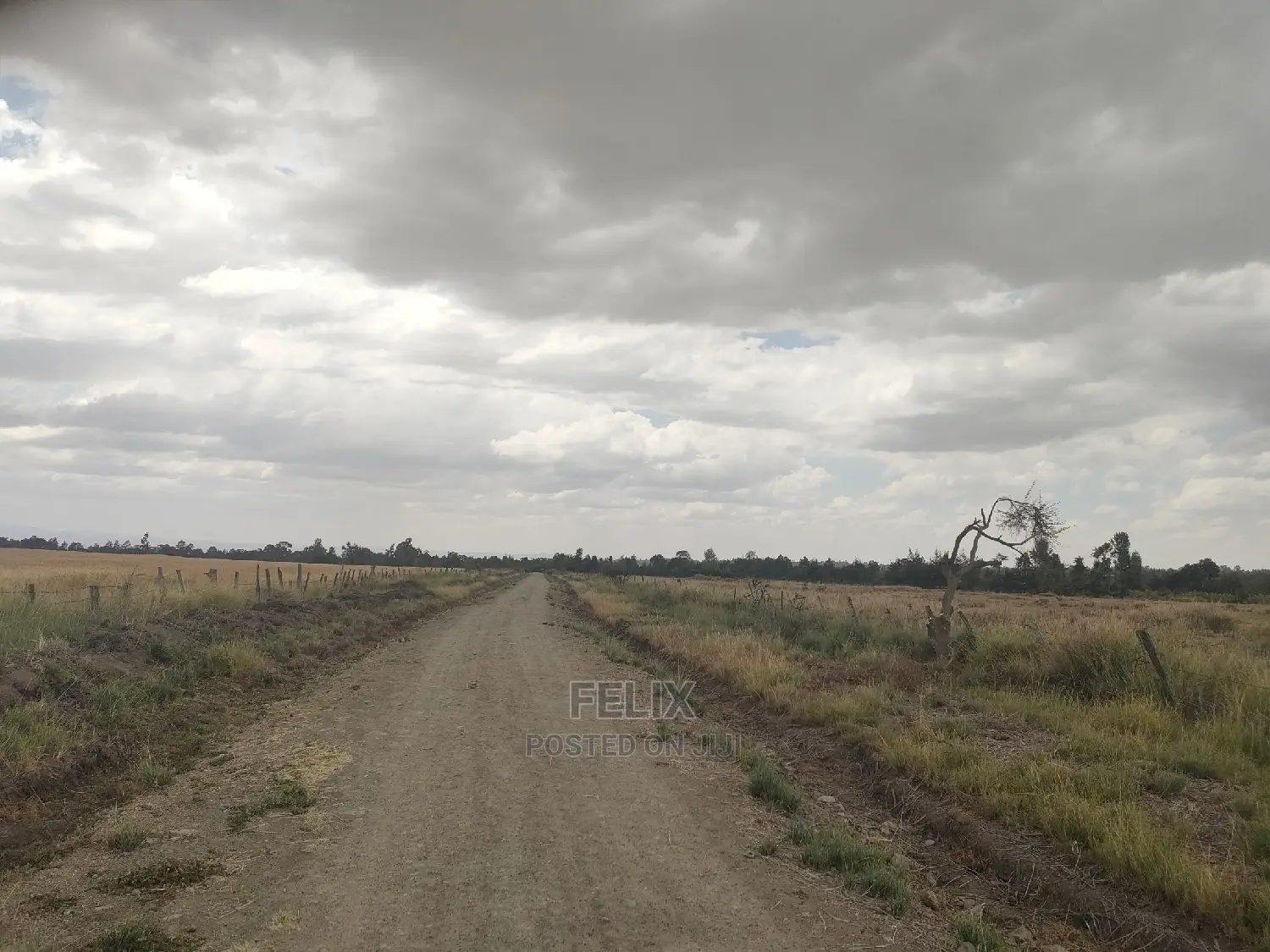 32 Acres Narumoru/ Blueline