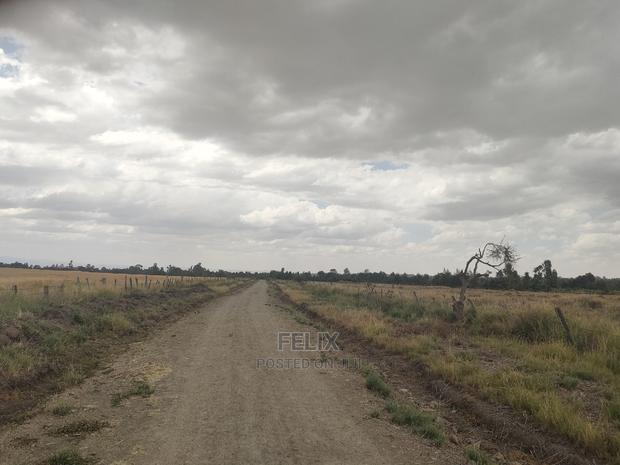 32 Acres Narumoru/ Blueline - thumbnail 3