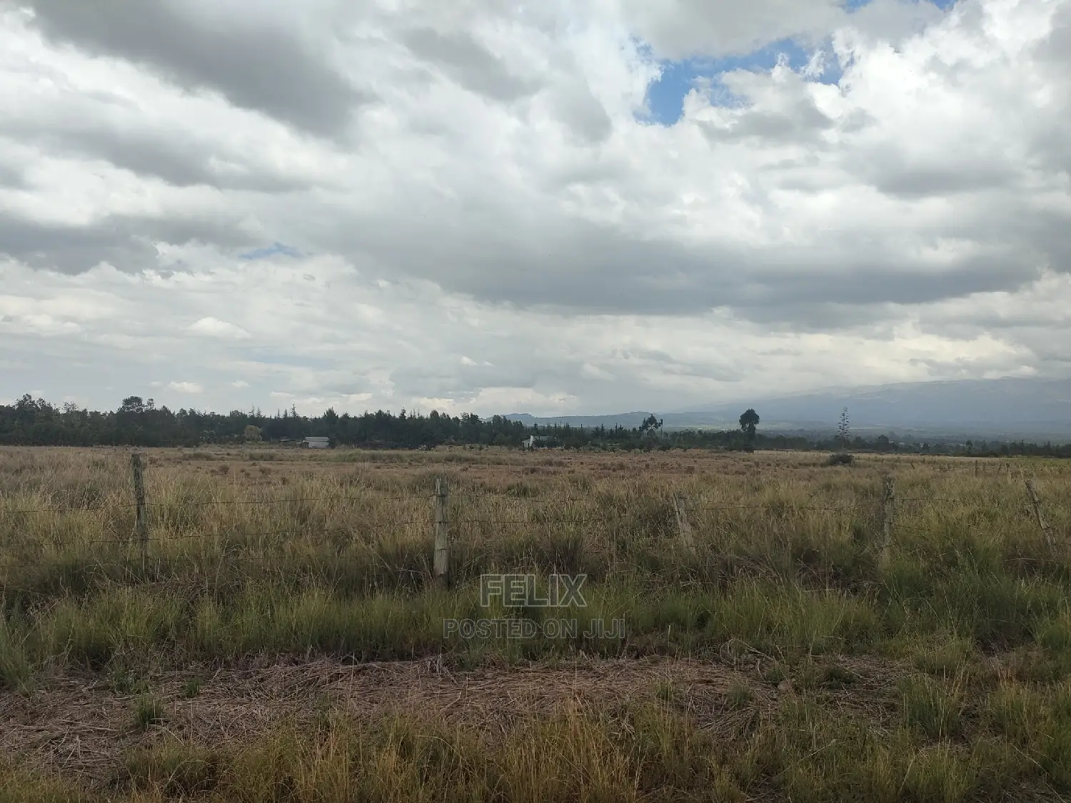 32 Acres Narumoru/ Blueline