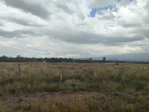 32 Acres Narumoru/ Blueline