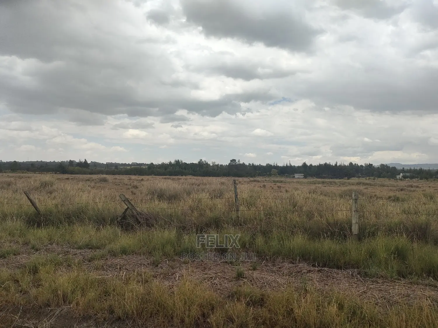 32 Acres Narumoru/ Blueline