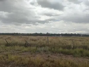 32 Acres Narumoru/ Blueline