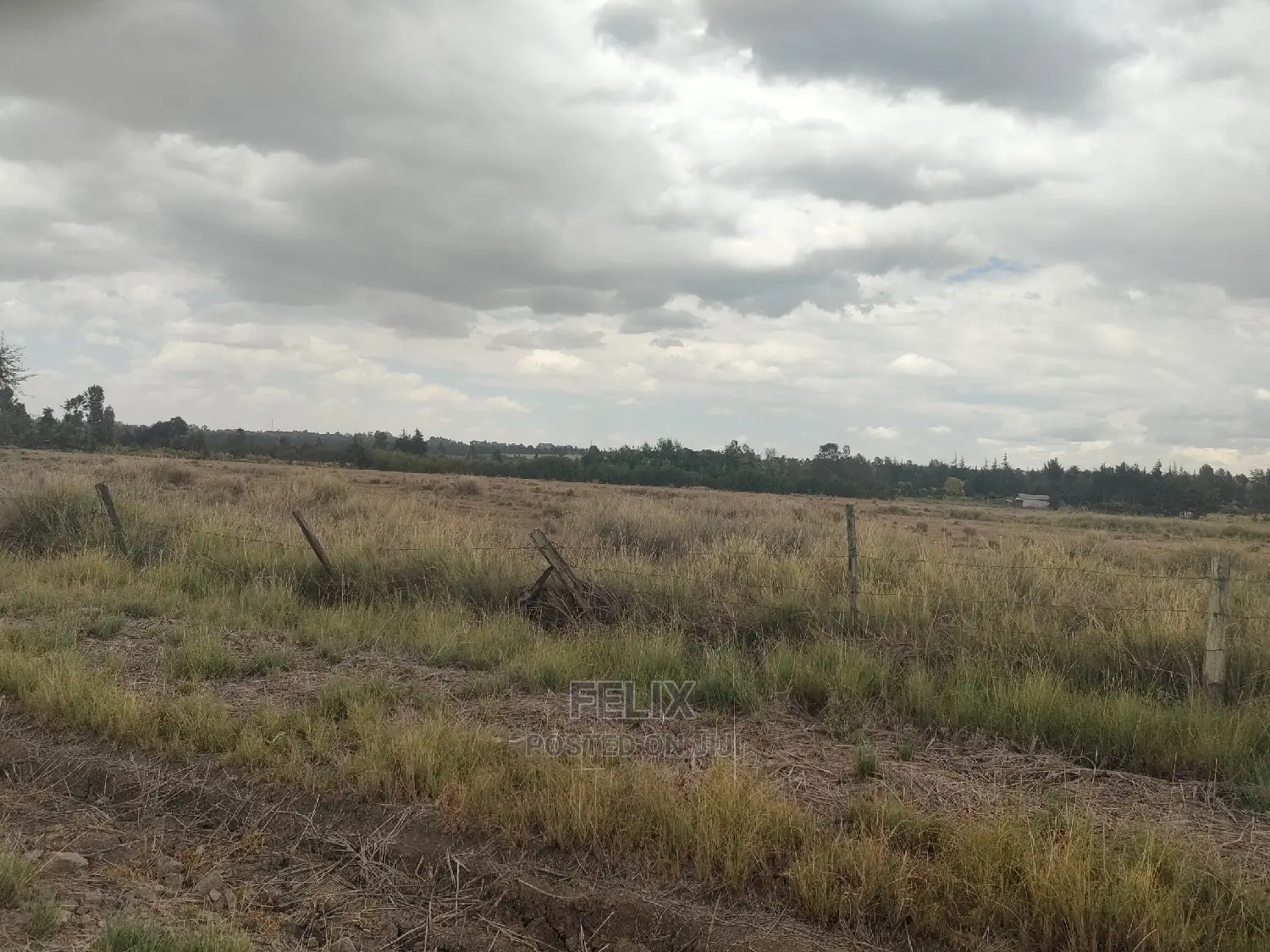 32 Acres Narumoru/ Blueline