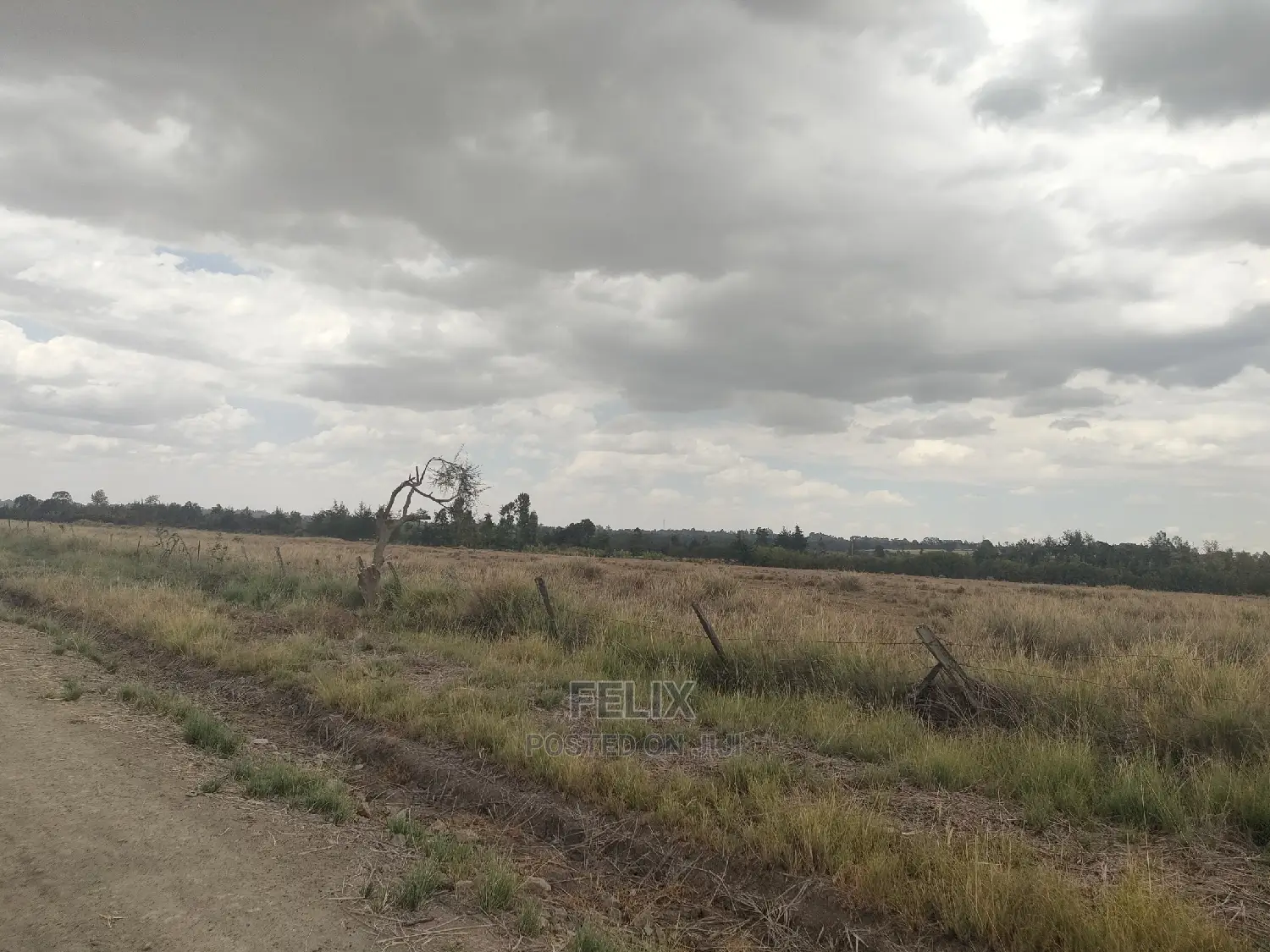 32 Acres Narumoru/ Blueline