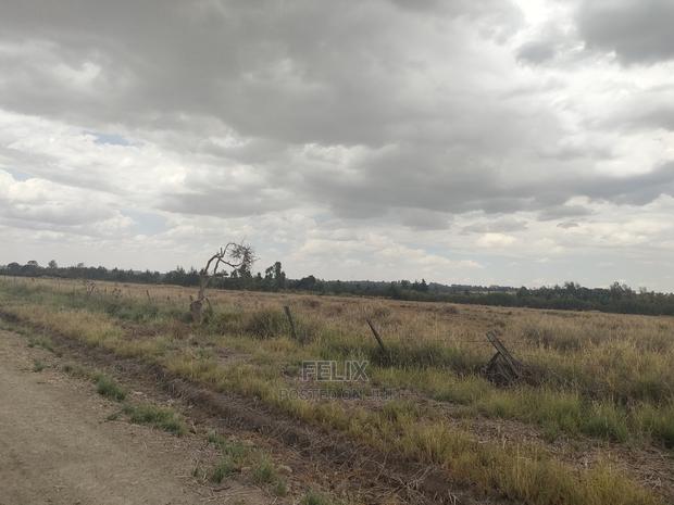 32 Acres Narumoru/ Blueline - thumbnail 7