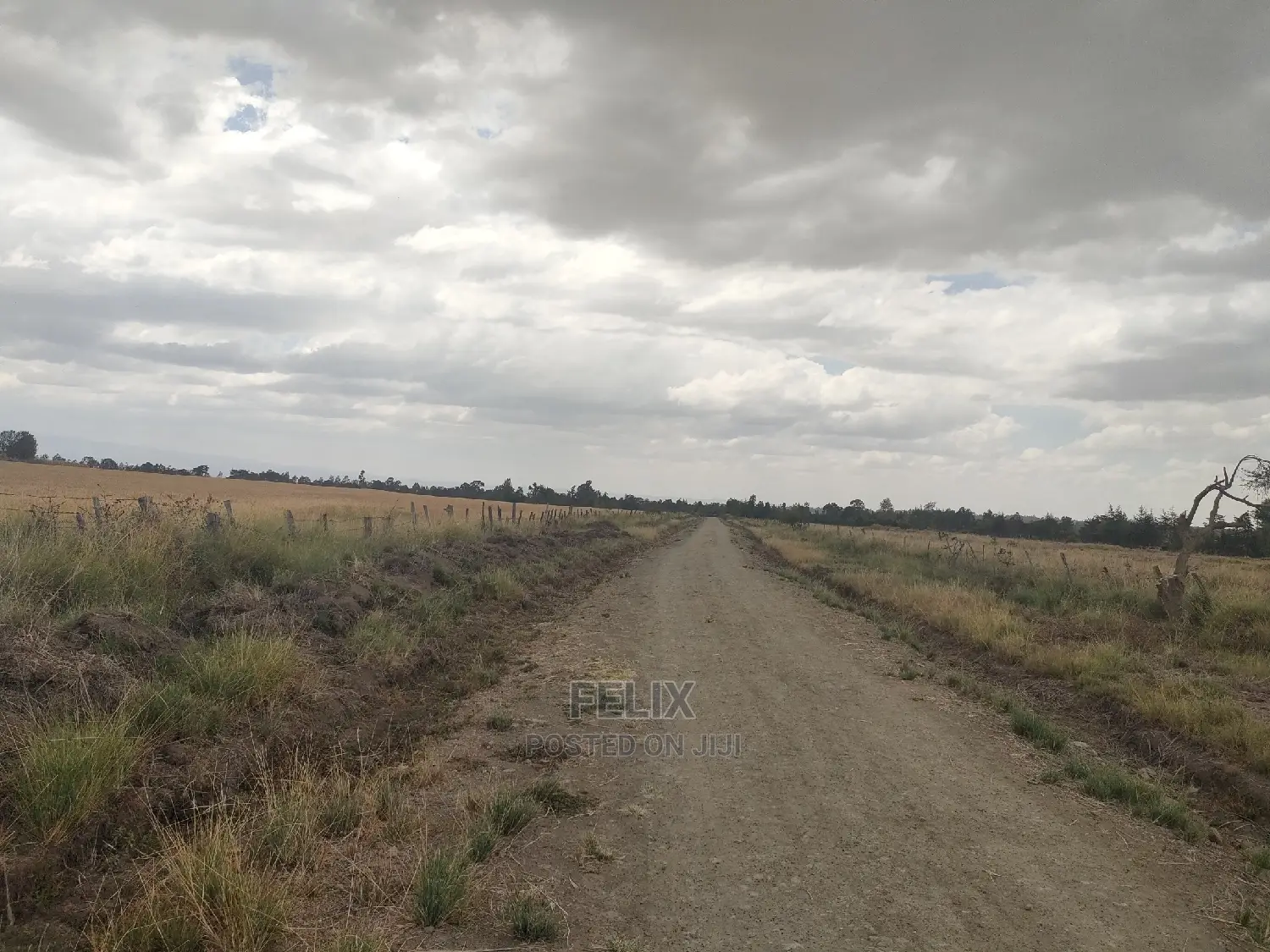 32 Acres Narumoru/ Blueline