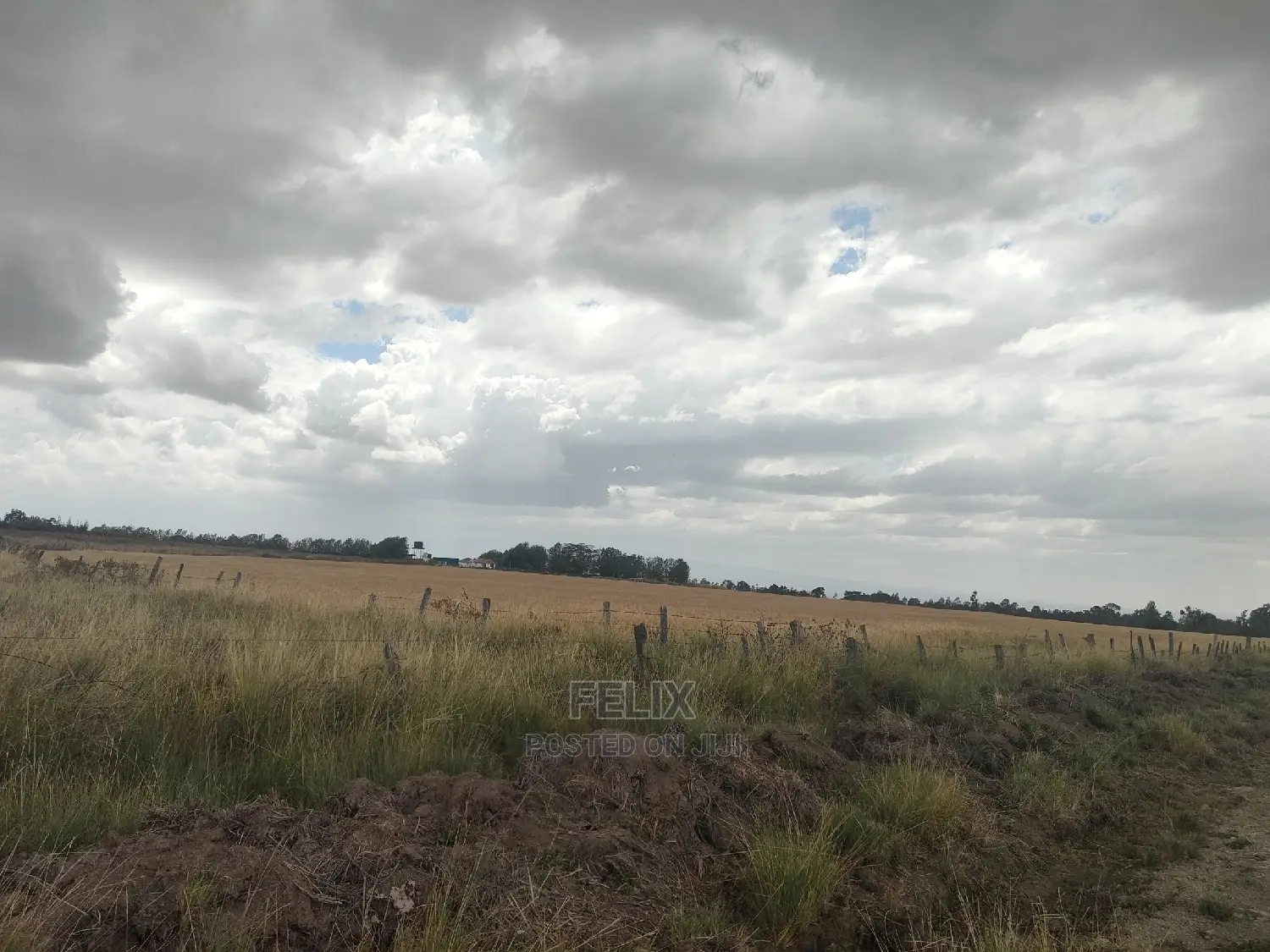 32 Acres Narumoru/ Blueline