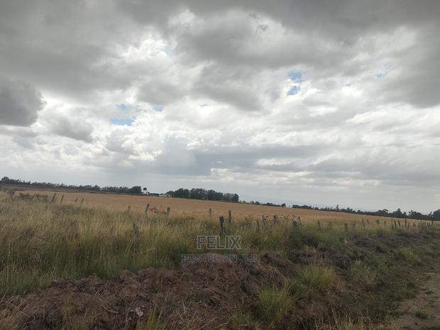 32 Acres Narumoru/ Blueline - thumbnail 9