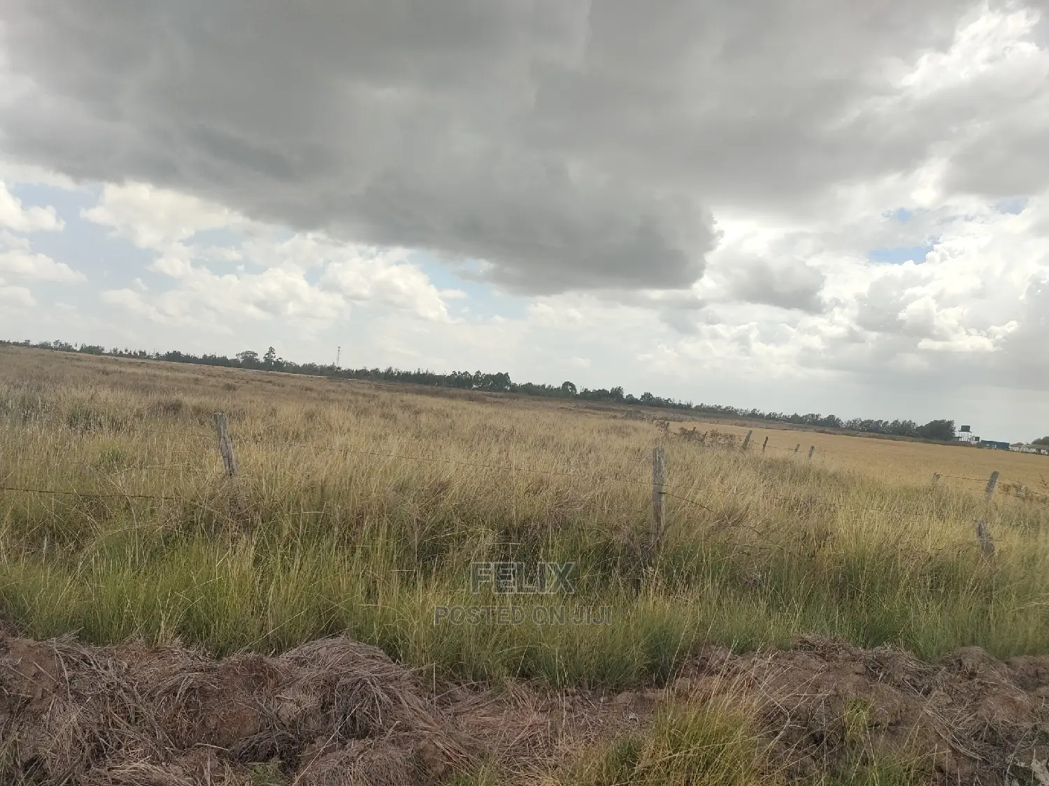 32 Acres Narumoru/ Blueline