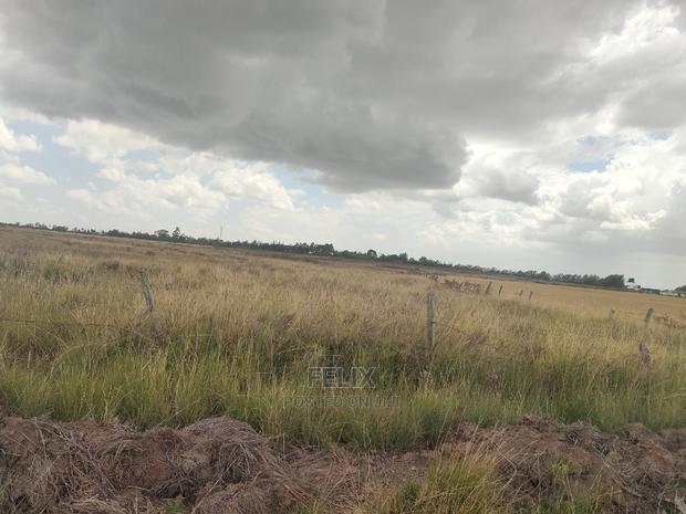 32 Acres Narumoru/ Blueline - thumbnail 10