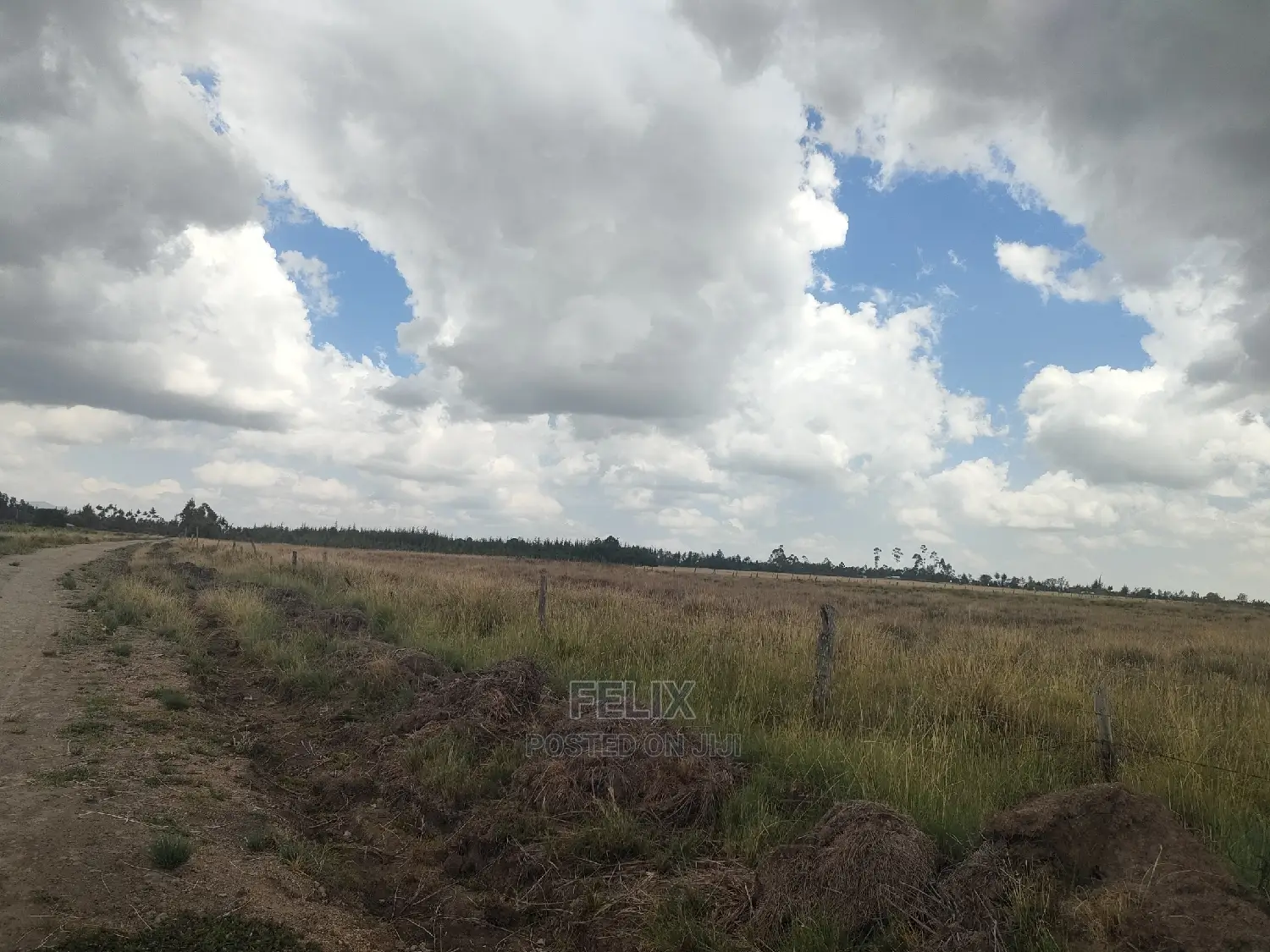 32 Acres Narumoru/ Blueline
