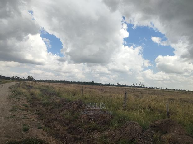 32 Acres Narumoru/ Blueline - thumbnail 11