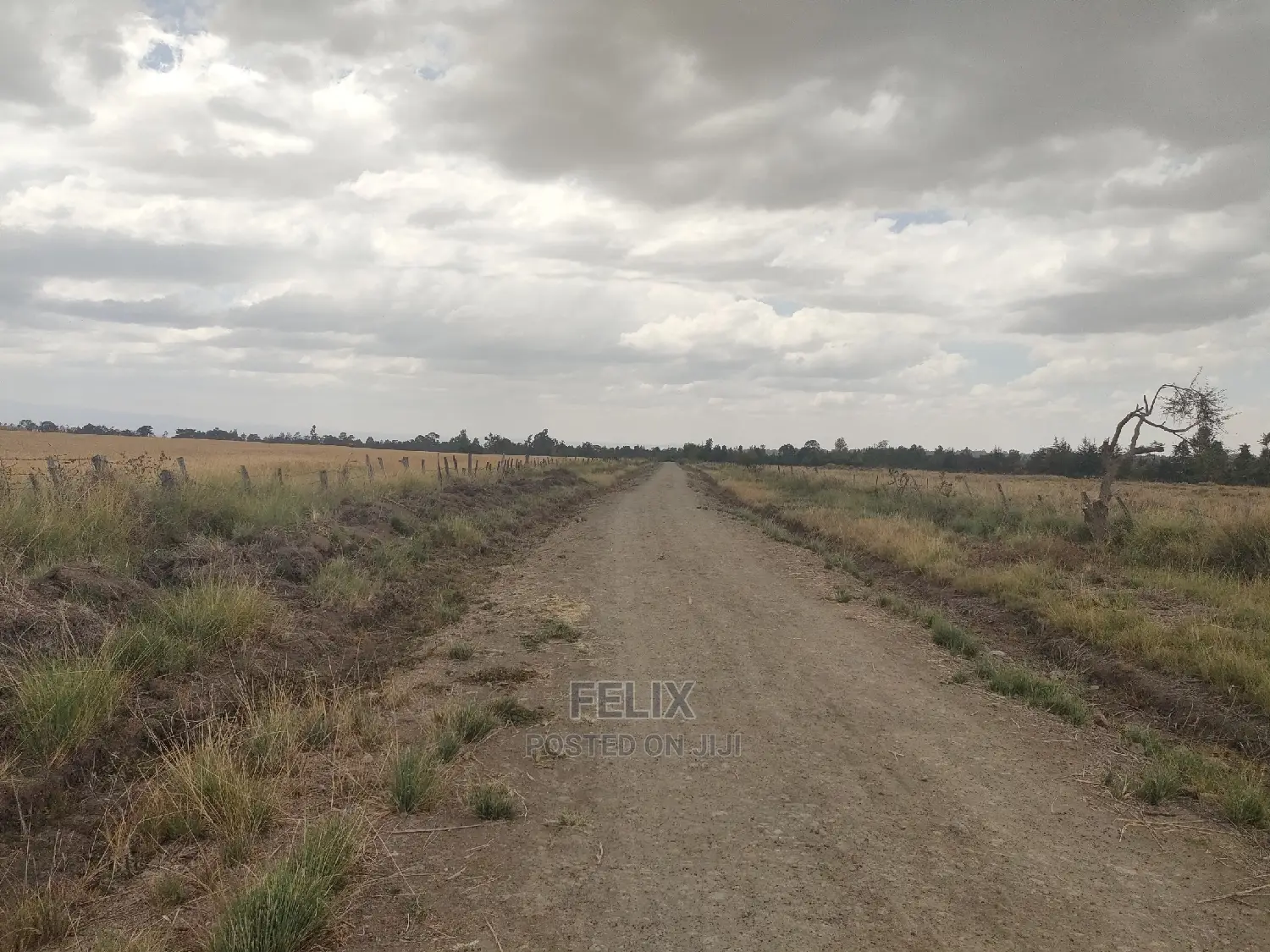 32 Acres Narumoru/ Blueline