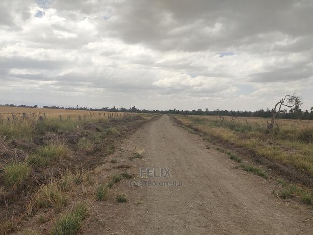 32 Acres Narumoru/ Blueline - thumbnail 12