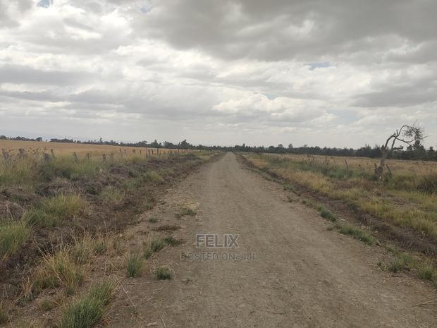 32 Acres Narumoru/ Blueline - thumbnail 13