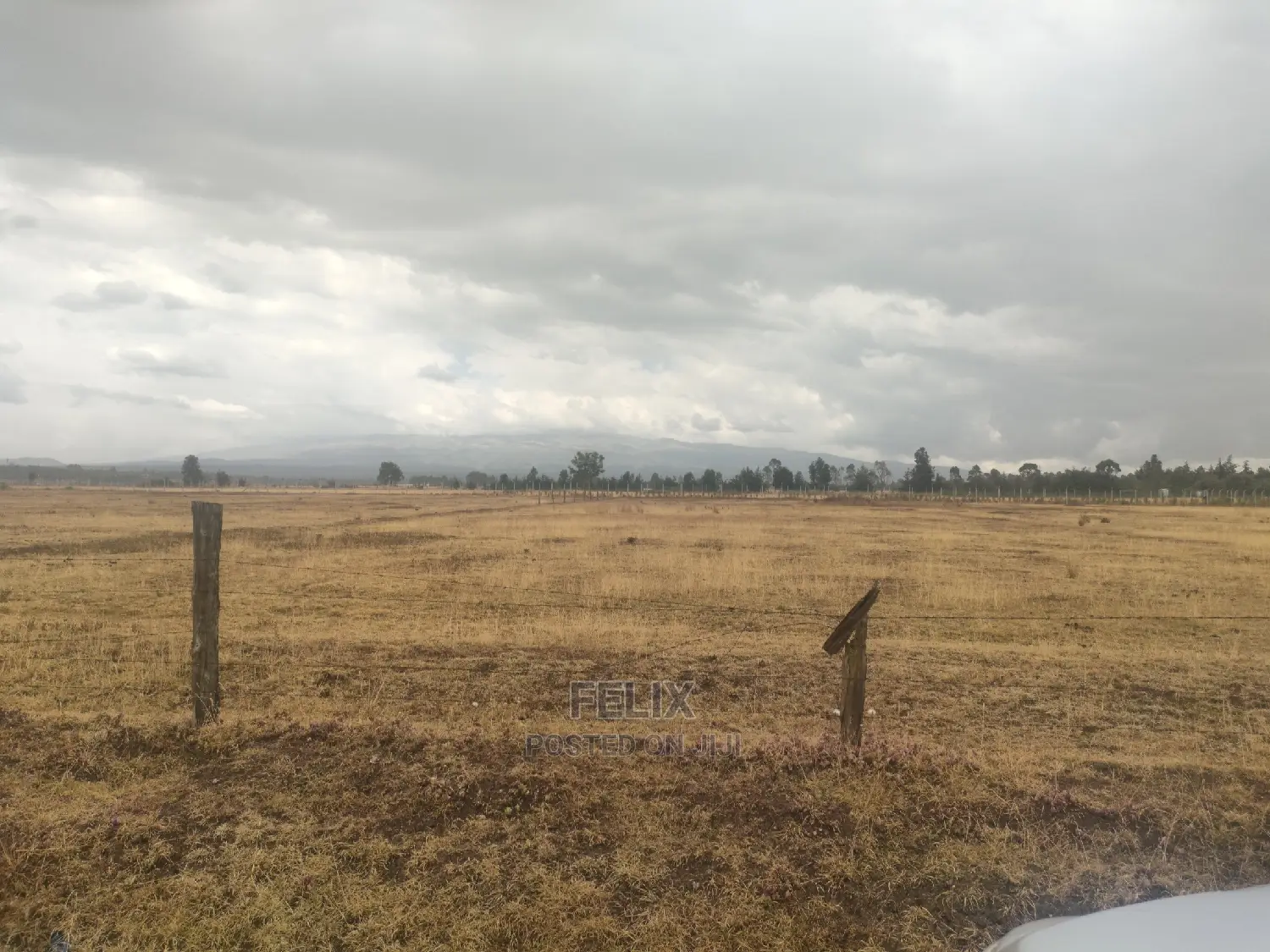 32 Acres Narumoru/ Blueline