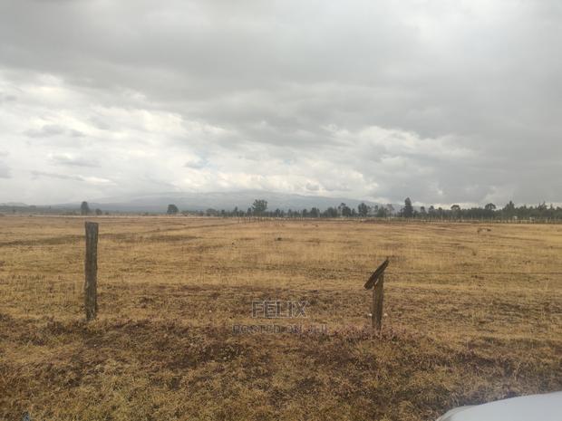 32 Acres Narumoru/ Blueline - thumbnail 14