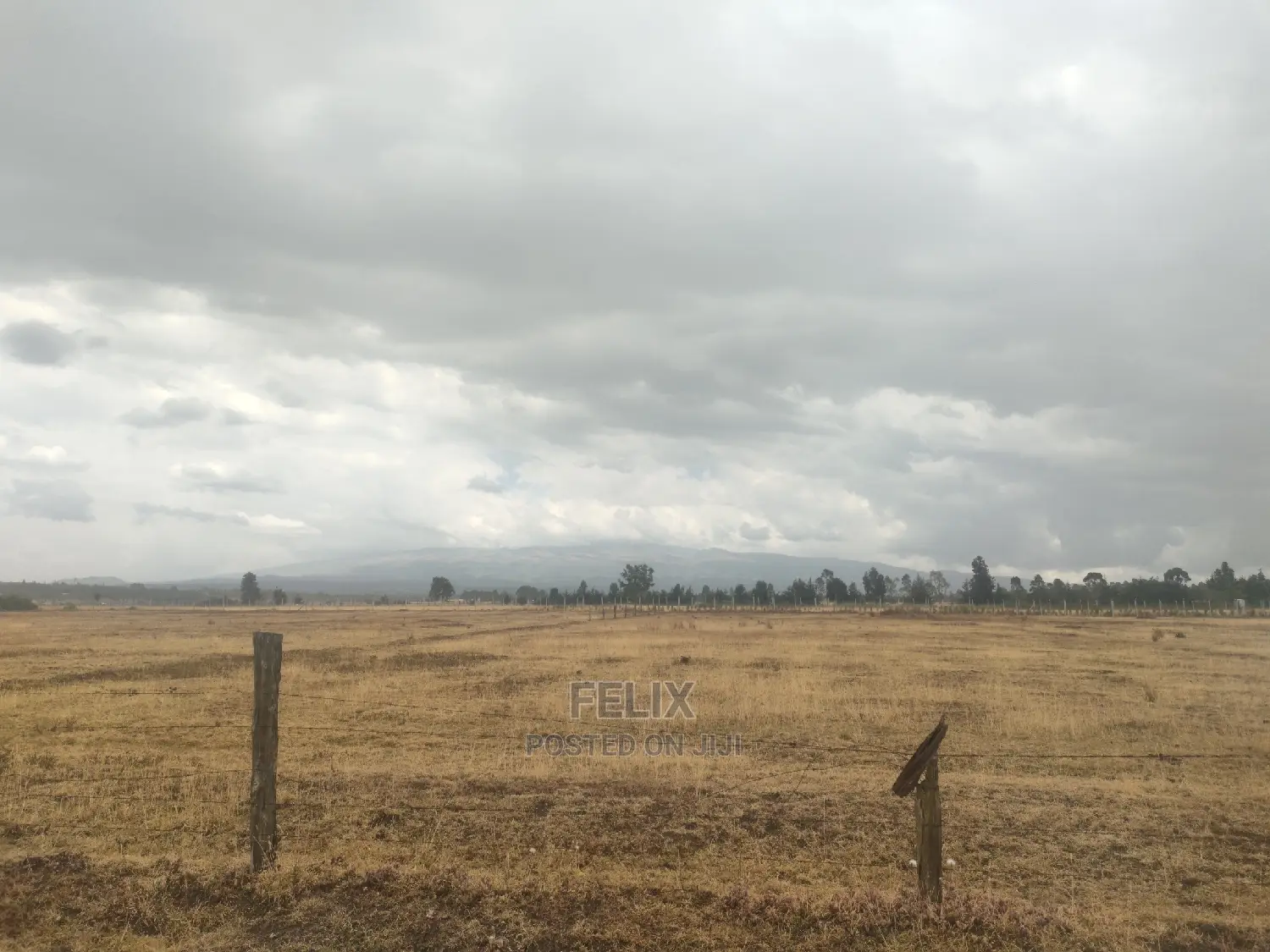 32 Acres Narumoru/ Blueline