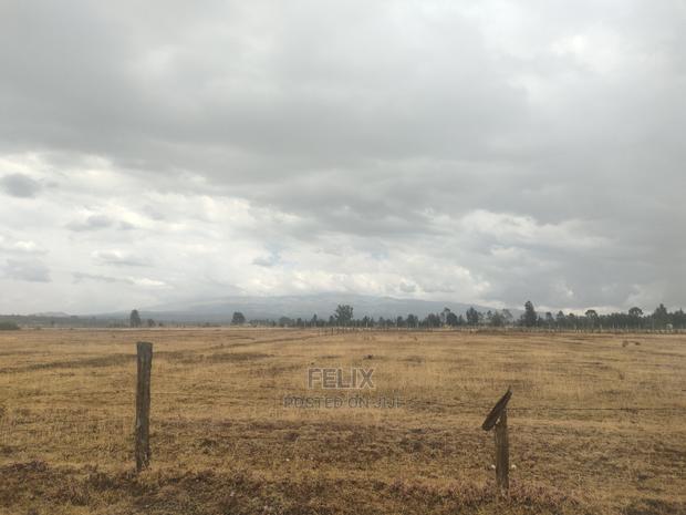 32 Acres Narumoru/ Blueline - thumbnail 15