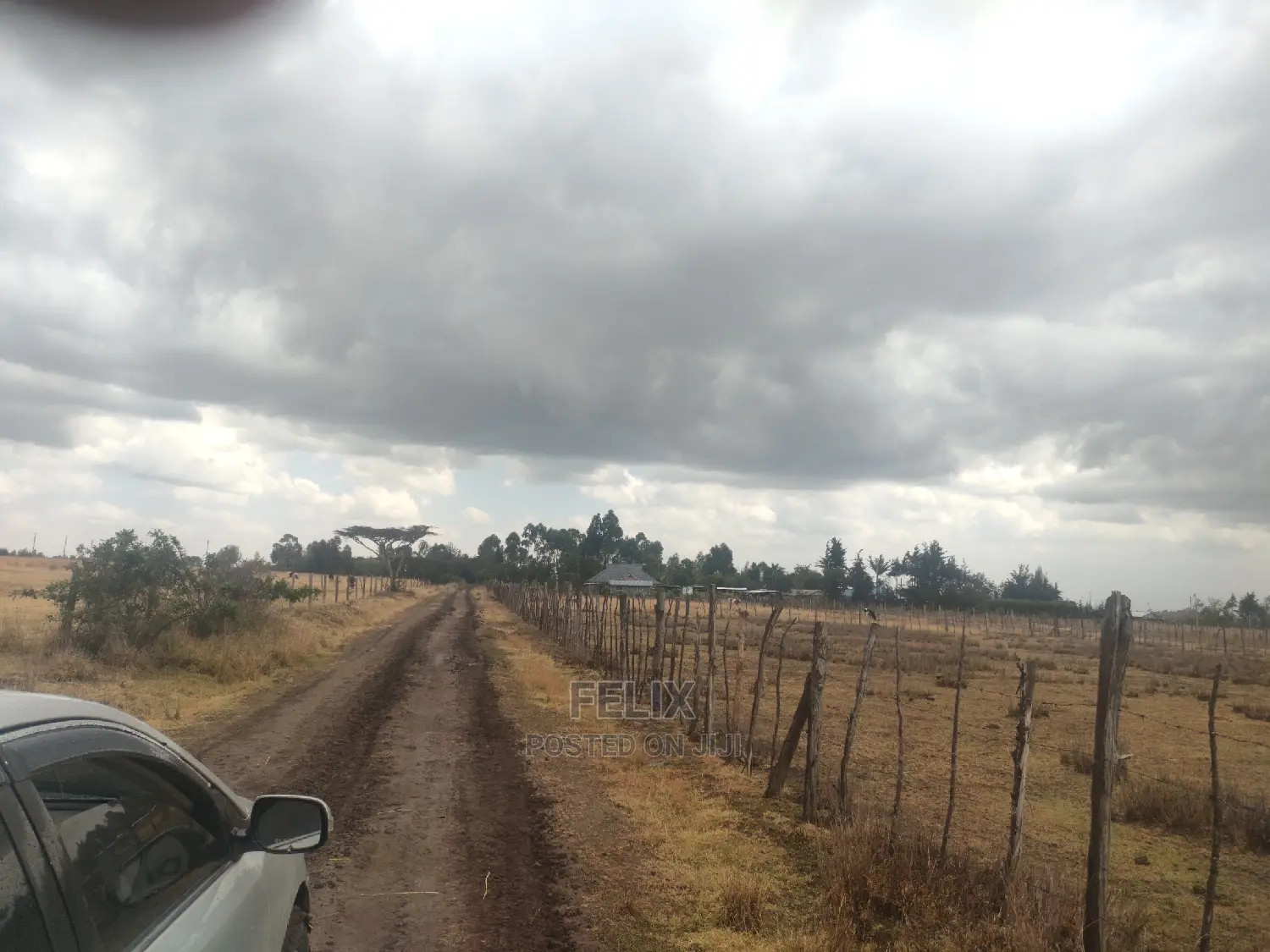 32 Acres Narumoru/ Blueline