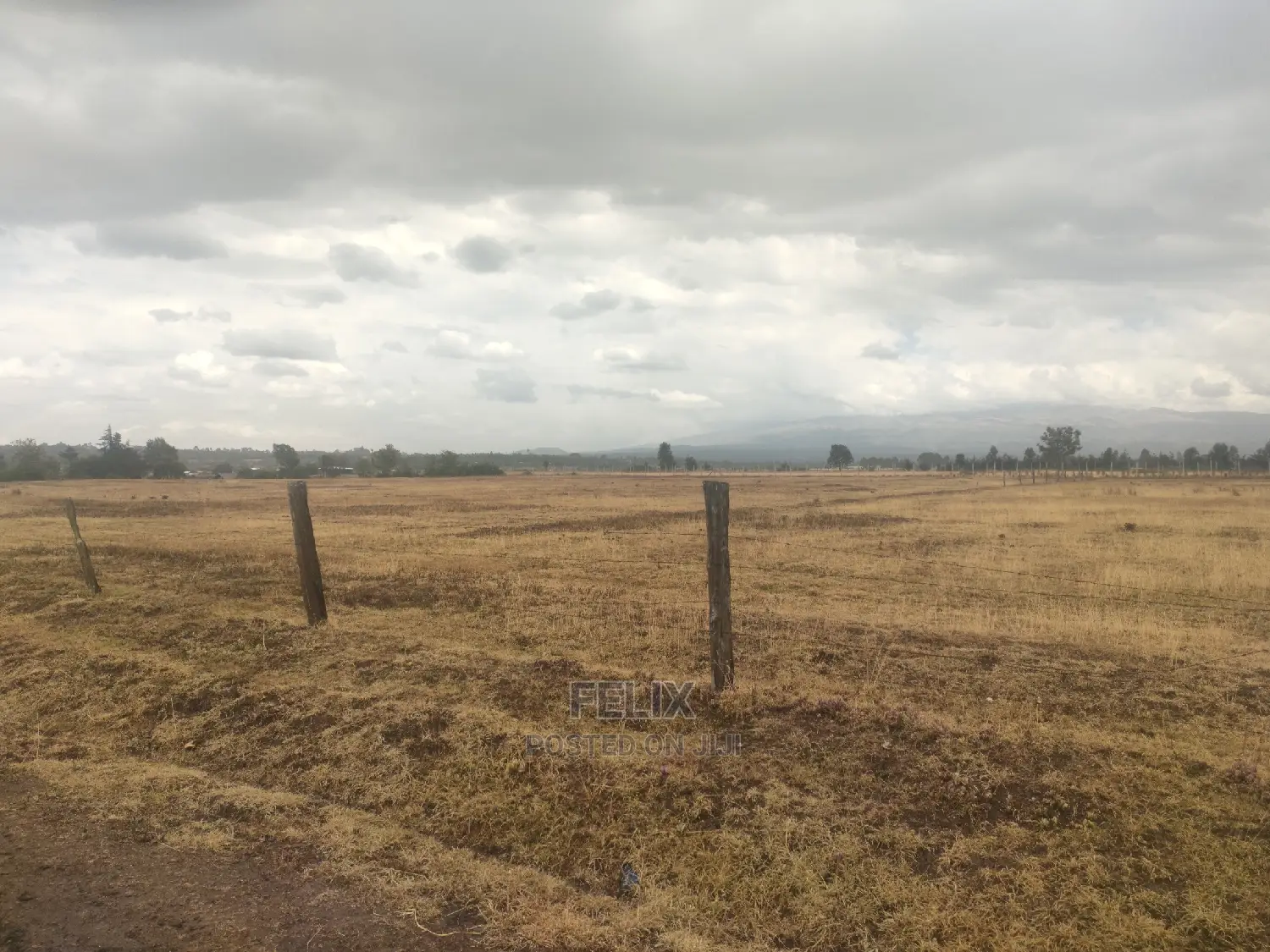 32 Acres Narumoru/ Blueline