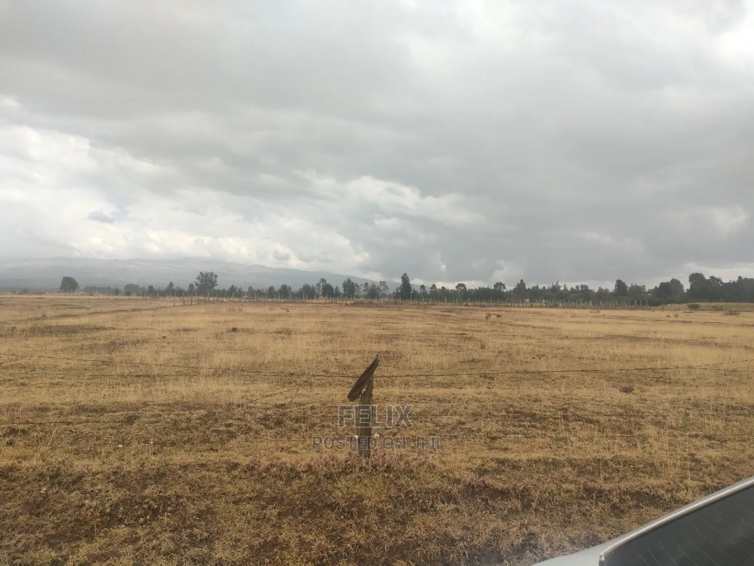 32 Acres Narumoru/ Blueline