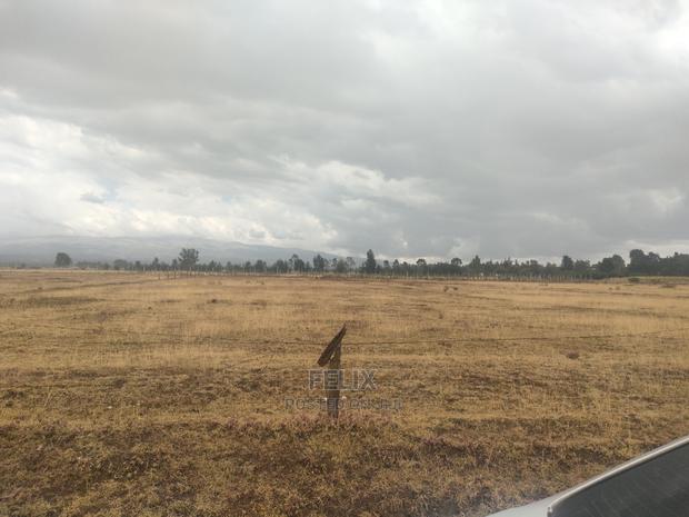 32 Acres Narumoru/ Blueline - thumbnail 18