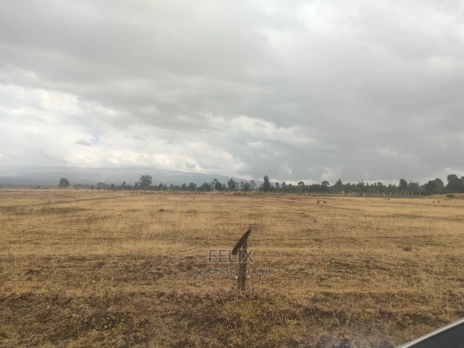 32 Acres Narumoru/ Blueline