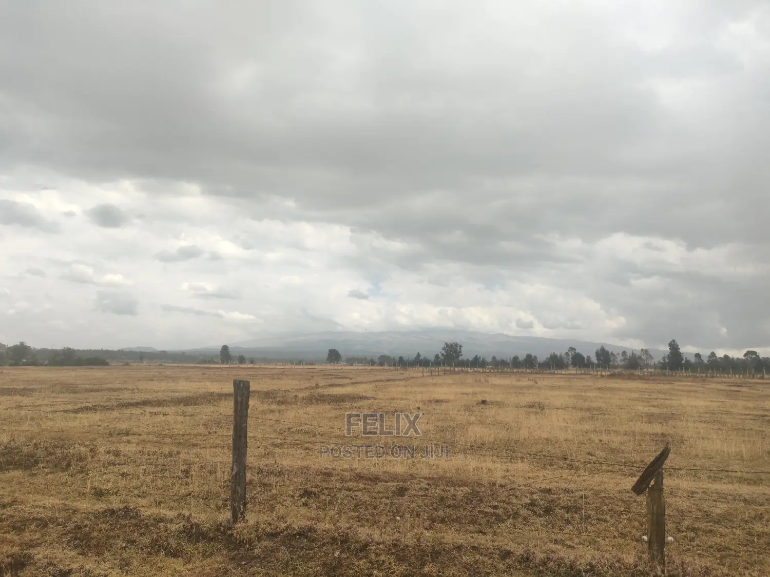 32 Acres Narumoru/ Blueline