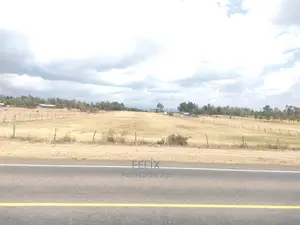 7 Acres Chaka/ Narumoru Main Tarmac