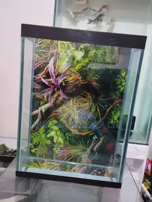 Cheap Aquarium Tank With Thick Glass
