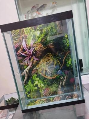 40 Litres Tank, Aquarium Tank - thumbnail 2