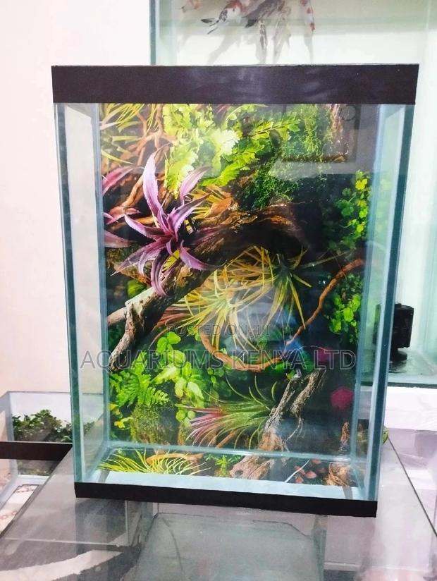 Attractive Aquarium Fish Tank, Aquarium Tanks - main view