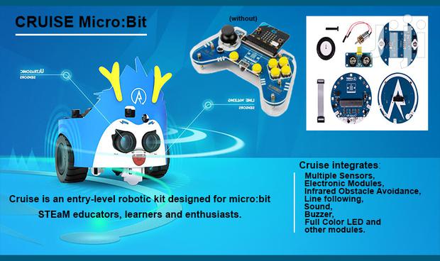 Arduino Microbit, Raspberry Pi Robots - main view