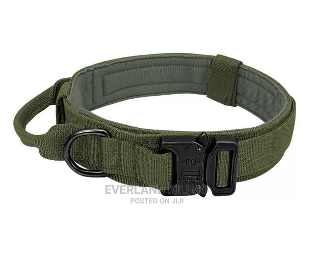 Tactical Collar - Heavy Duty - main view