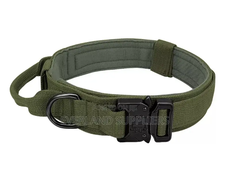 Tactical Collar - Heavy Duty