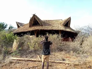 Makuti Roof Construction and Suppliers