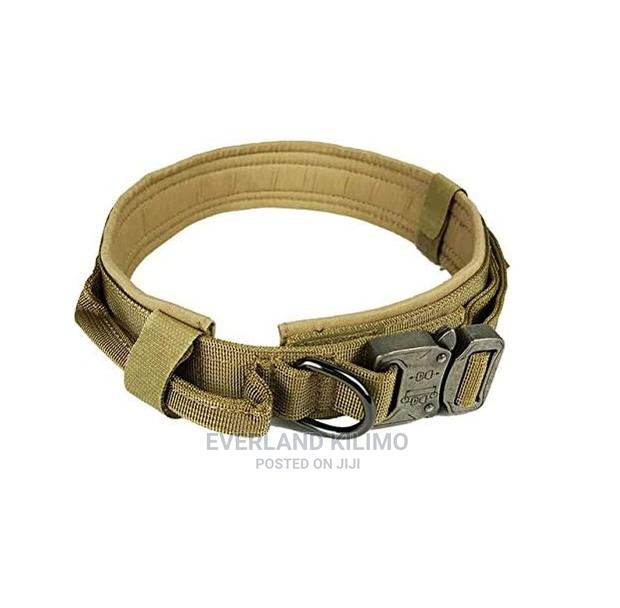 Tactical / / Military Collars - main view
