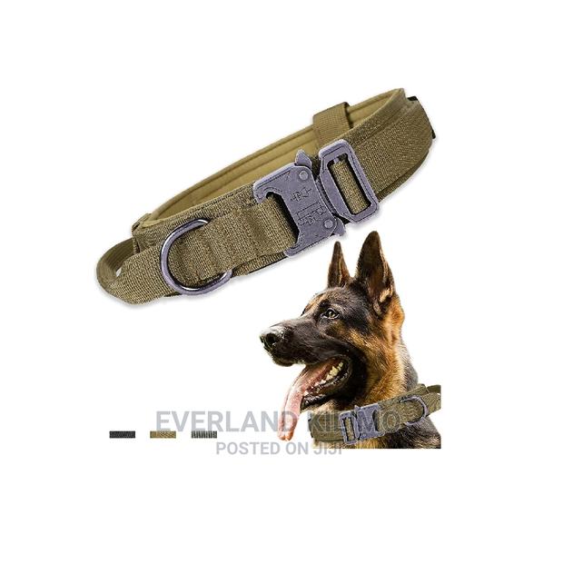 Tactical / / Military Collars - thumbnail 2