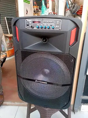 Premier Portable Speaker+2 Microphones