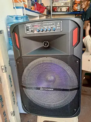 Premier Portable Speaker+2 Microphones