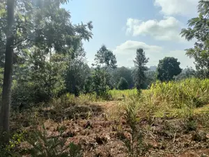 1 1/4acre Karatina/ Ngorano
