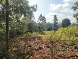 1 1/4acre Karatina/ Ngorano