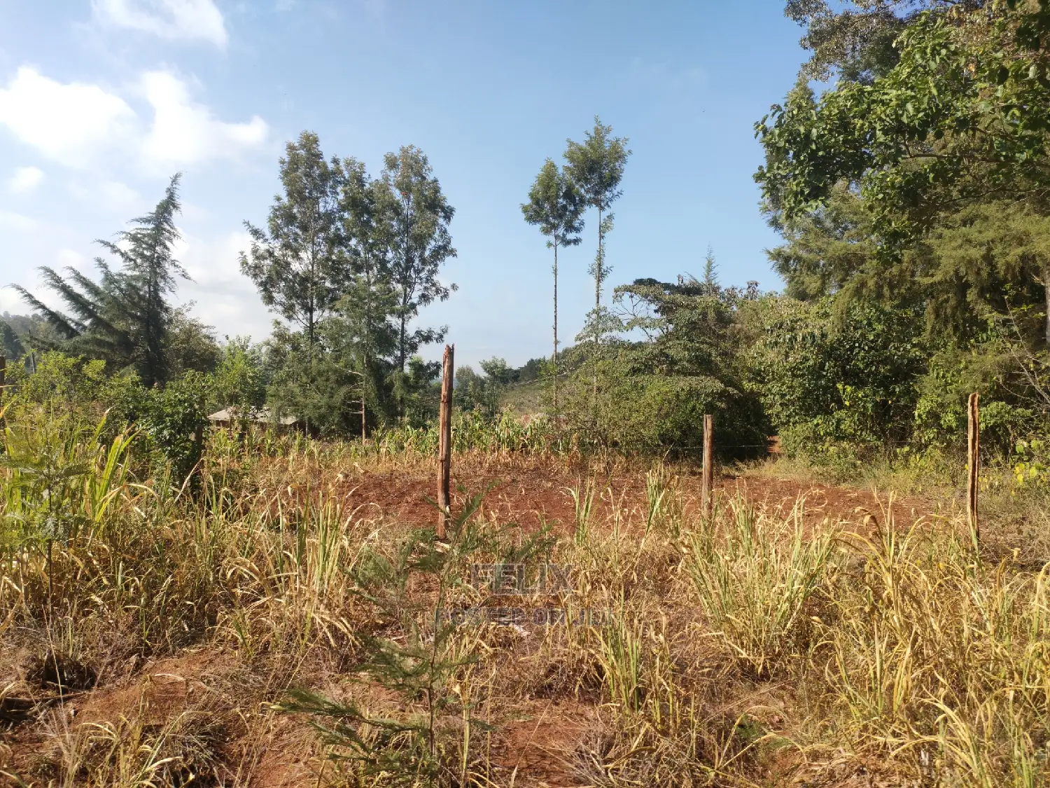 1 1/4acre Karatina/ Ngorano