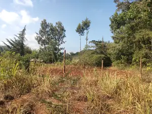 1 1/4acre Karatina/ Ngorano